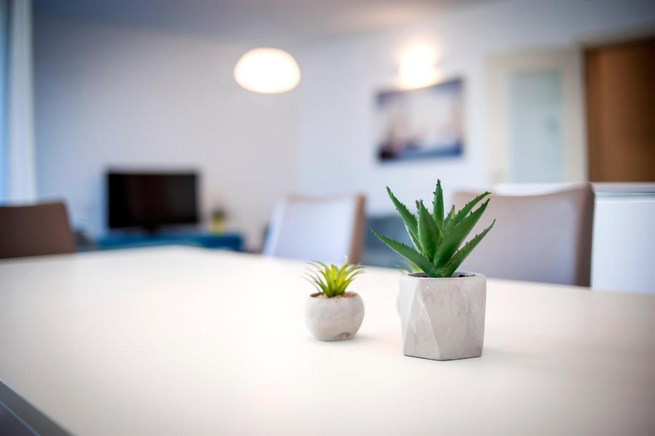 Sunny Day - Apartment With Parking Rovinj Exterior photo